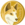 dingo