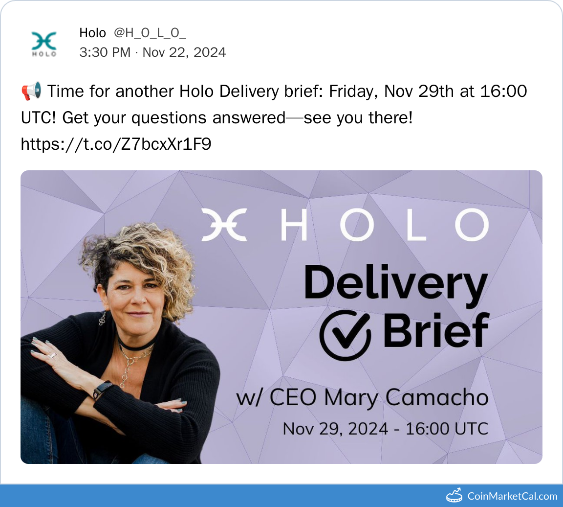 Holo Delivery Brief
