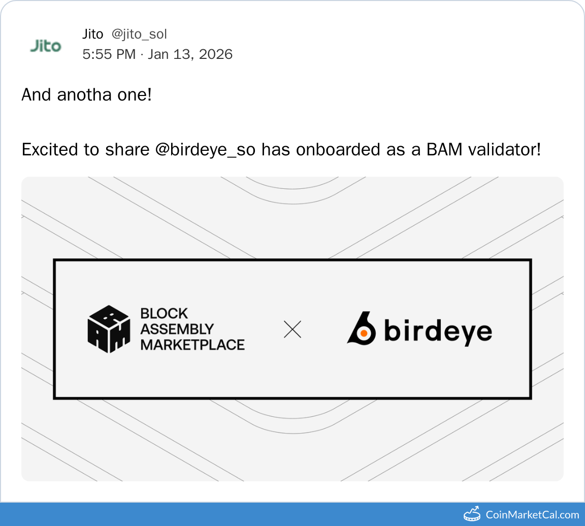 Birdeye BAM Validator