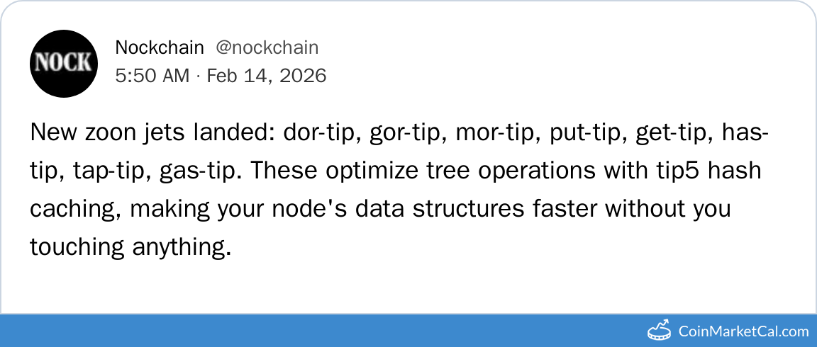 Zoon Jets Optimization