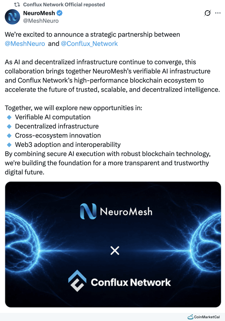 NeuroMesh Partnership